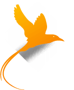 Seychelles FSA Licensed