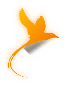 Seychelles FSA Licensed